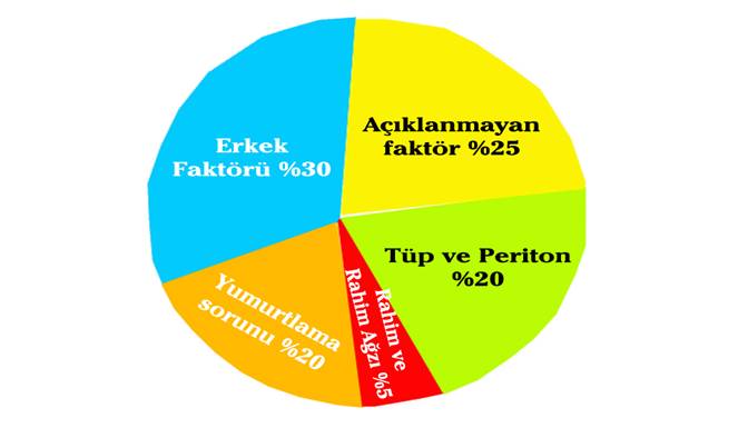 Açıklanamayan İnfertilite