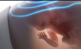 Gebelikte Tarama Testleri